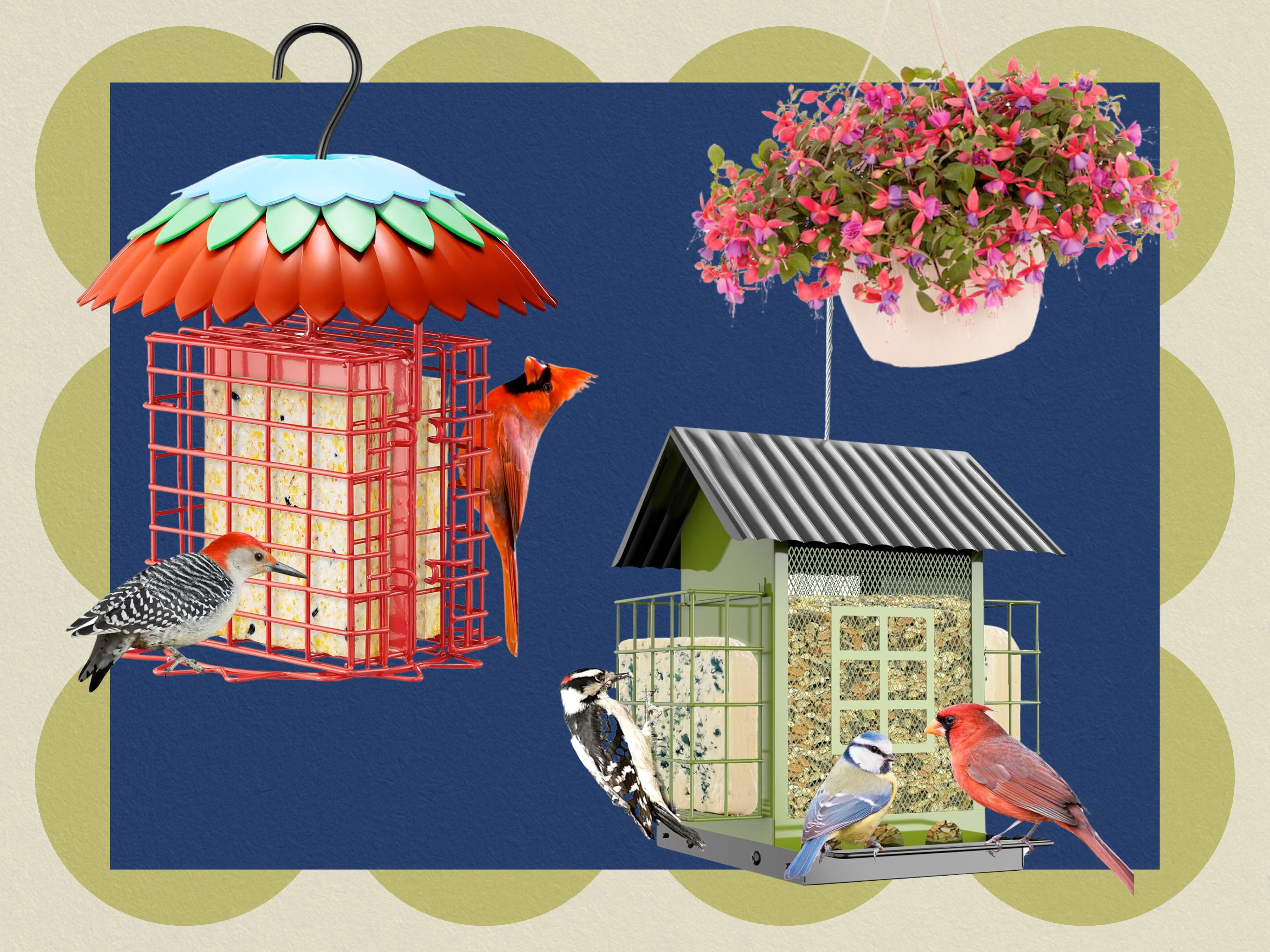 These 12 Products Will Bring All the Birds to Your Yard