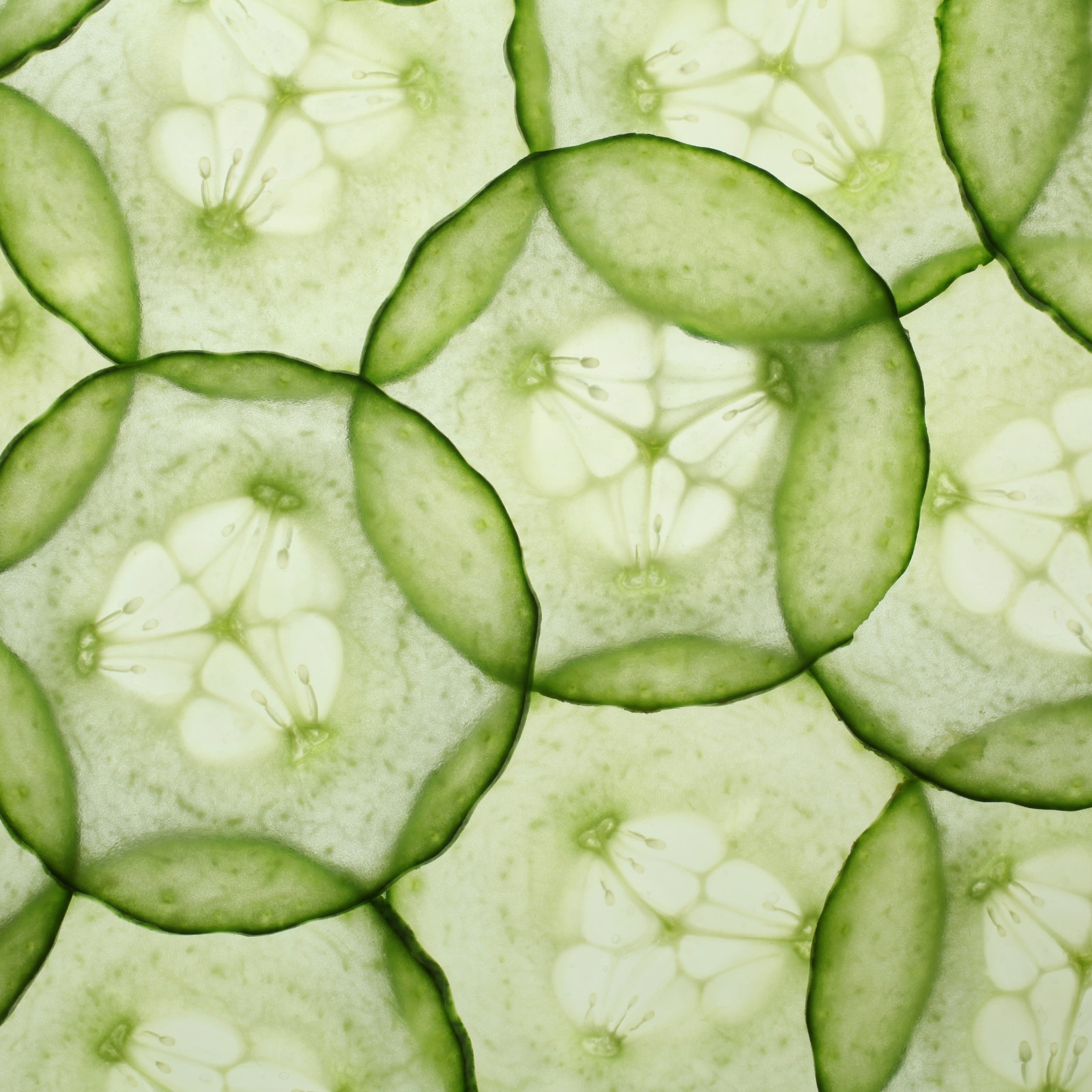 Cucumbers Linked to Salmonella Could Pose ‘Serious Adverse Health Consequences or Death’